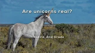 Are unicorns real