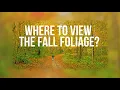 7 INCREDIBLE Places To View Fall Foliage in the Smoky Mountains - Fall Colors 2021 - Gatlinburg, TN