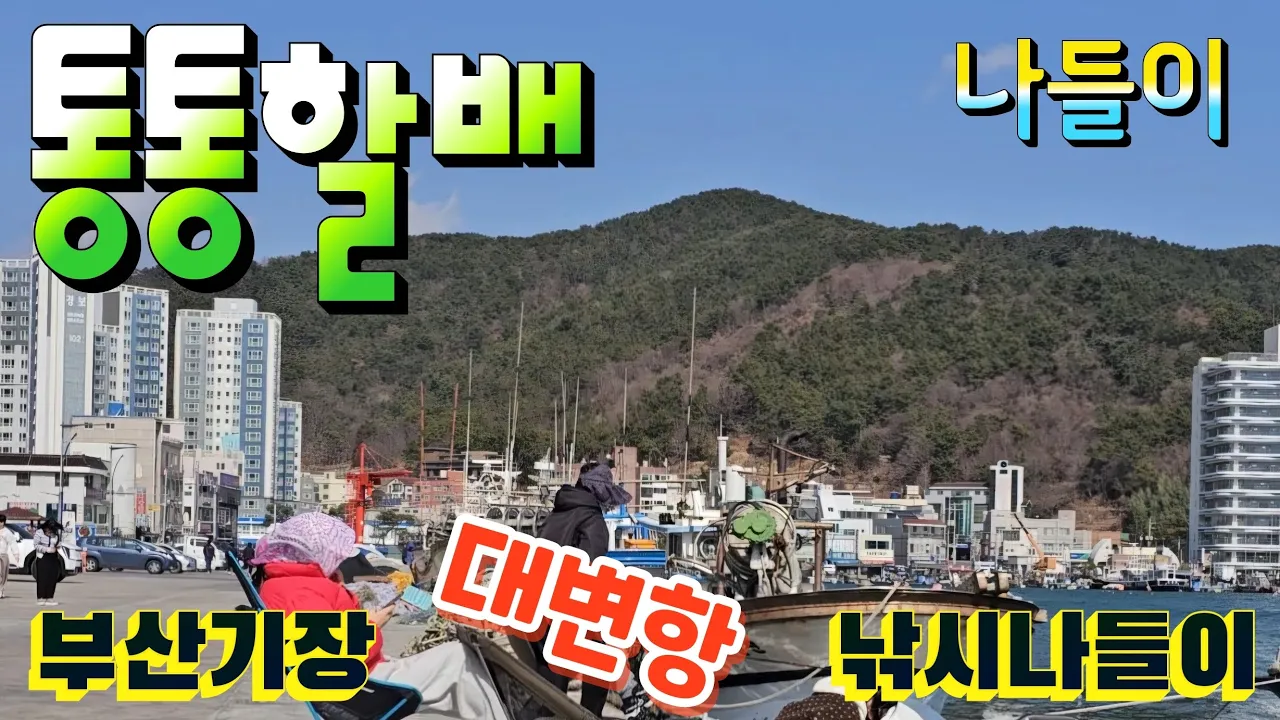 #부산기장대변항#낚시나들이  サムネイル