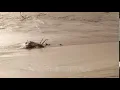 Time lapse Extreme Tides At Bristol Channel