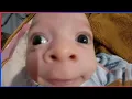 Download Lagu World's *HARDEST* TRY NOT TO LAUGH Challenge! (IMPOSSIBLE) #30