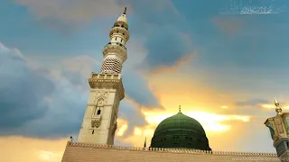                   يا جد السلالة دندنها