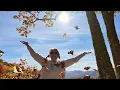 Smoky Mountains Fall Color Update 2026 🍁 Peak Colors, Newfound Gap & Chimney Tops!