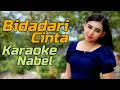 Download Lagu Bidadari Cinta Karaoke Bareng Nabel