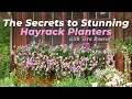 How To Plant Stunning Hayrack Planters