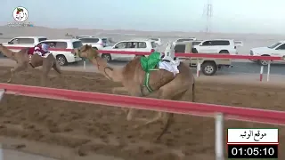 الشوط 9 لظا لـ سيف سالم سيف الدرعي 1 46 6 شارة الصندوق 2022 3 5 فطامين الرقيعات 