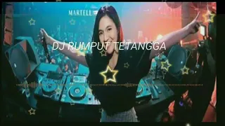 Download DJ RUMPUT TETANGGA REMIX MP3