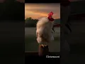 Download Lagu Rooster clucking sound MP3