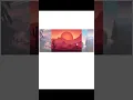 image hover effect