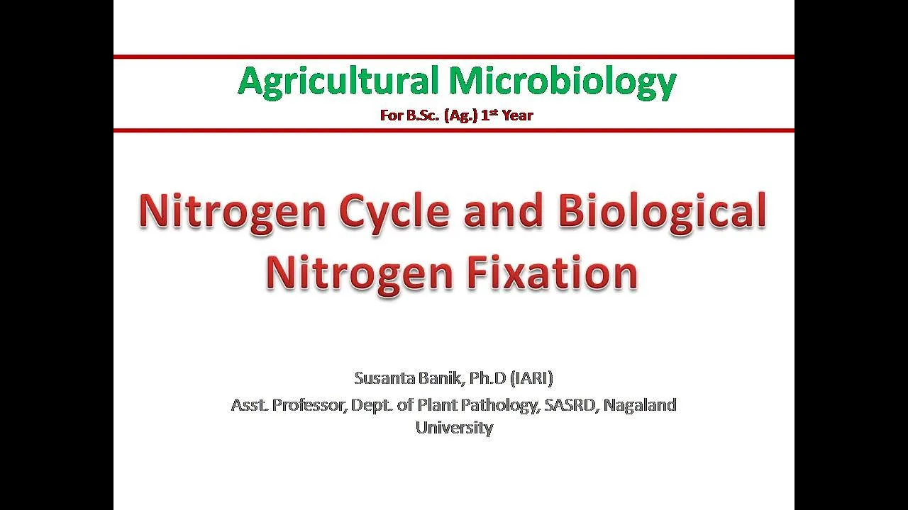 Nitrogen cycle & Biological Nitrogen Fixation | Nitrification, Denitrification | Rhizobium & legume