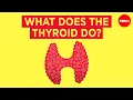 How does the thyroid manage your metabolism - Emma Bryce
