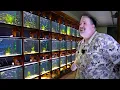 The Brutal Reality of Owning an Aquarium Store