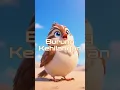 Download Lagu Burung Kecil Ini Kehilangan Langitnya… Tapi Lihat Apa yang Terjadi