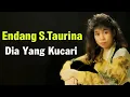 Download Lagu Endang S. Taurina - Dia Yang Kucari Lyrics Video