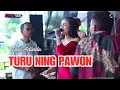 Download Lagu TURU NING PAWON ~ DEVI ADIN // CITRA NADA LIVE DUKUH SAWAHREJO SELATAN - TEGALSARI TIMUR // PEMALANG