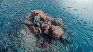 Esta cámara 360 no tiene competencia bajo el agua -  Insta360 X5