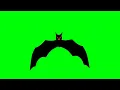 Bat Fly Animation Royalty Free