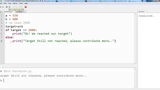 Bare-bone Python Program - Use of If Else Operators and Literals
