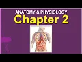 Introduction to Anatomy Physiology - Chapter 2 Cells and Tissues