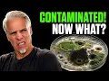 Agar - Dealing with Contamination