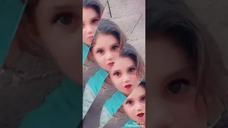 وائل جسار اراضيكي دندنها