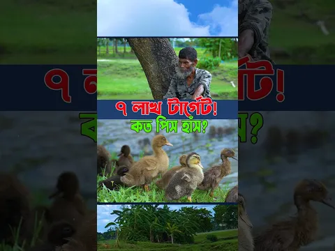 ৫ মাসে হাঁস পালনে ৭ লাখ টাকার টার্গেট! 🦆💰 কত পিস হাঁস দিয়ে শুরু? 😱 #shortsvideo