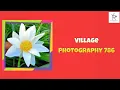 Download Lagu Village Photography 786 | Instagram Shot 238