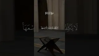 تلاوة خاشعة من سورة البقرة الآية 286 بصوت عذب يملأ القلب طمأنينة 