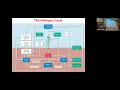 Nutrient Cycles Part 1 Nitrogen and Phosphorus