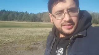 طائر غريب الكركي السنجابي أو الرهو الاسم العلمي Anthropoides Virgo بالإنجليزية Demoiselle Crane 