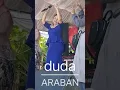 Download Lagu duda araban