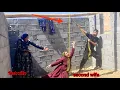Download Lagu Nomadic Life: Real Drama in a Nomadic Family Between Two Nomadic Men and Women