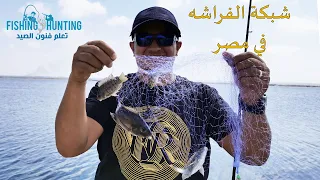 تحدي الصيد بـ شبكة الفراشه في مصر 