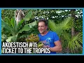 Gerard Joling - Ticket To The Tropics (Akoestisch)