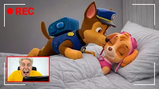 ВЕСЬ ЩЕНЯЧИЙ ПАТРУЛЬ У МЕНЯ ДОМА в Реальной Жизни! 😨 Скрытые камеры