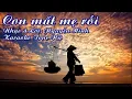 Lagu CON MẤT MẸ RỒI - Ngọc Phương Hoa