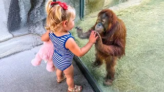 When Babies Have The Funniest Encounters With Zoo Animals!😂