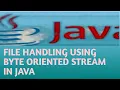 FILE HANDLING USING BYTE ORIENTED STREAM IN JAVA in Hindi Lecture 112