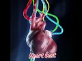 Lagu Heart beat 💜