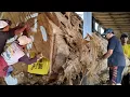 Lagu Niemand weet hoe geweldig het hout is dat deze zagerijgoudmijn is