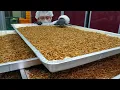 This is a protein thug Future Food Edible Insect Mealworm Korean food factory