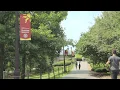 The Cornell University Summer Session Experience