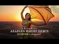 Habibi Arabic Remix 2025 – Deep Desert Bass & EDM Drops