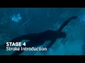 YMCA Swim Lessons Stage 4 Gamut One Studios