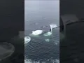 Suara Ikan Paus Memanggil Kawan Ngeri.....#shorts