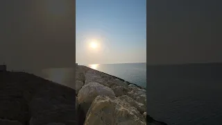 عصفورتان في الح جاز   أحمد شوقي   إلقاء أسامة الواعظ دندنها