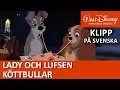 Download Lagu Lady och Lufsen äter köttbullar | Disneyklassiker Sverige