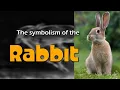 The Symbolism of the Rabbit