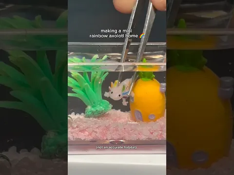 making a mini rainbow axolotl home