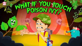 dont touch this plant what happens if you touch poison ivy urushiol allergy dr binocs